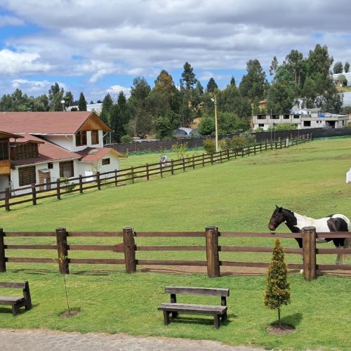 WhatsApp Image 2026-03-30 at 9.25.11 AM (4)