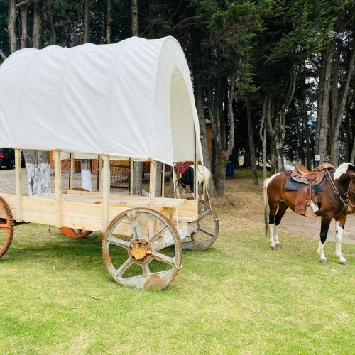 WhatsApp Image 2026-03-30 at 9.25.13 AM (7)